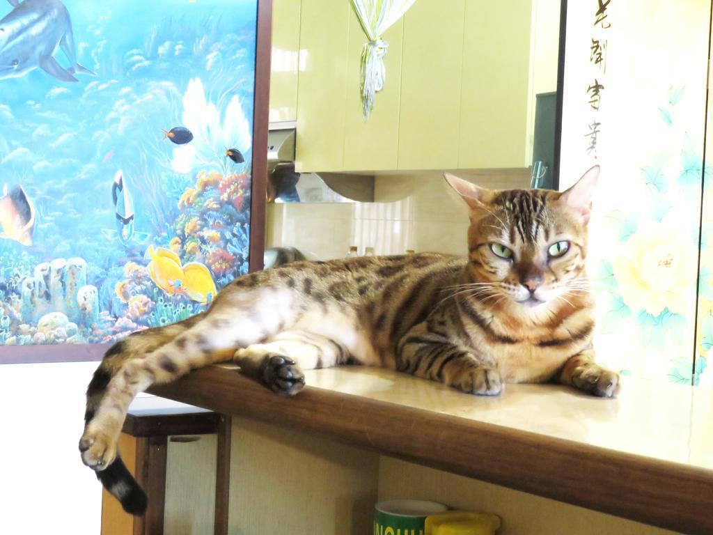 Tou Cheng Whale Watching Homestay Toucheng Exteriör bild