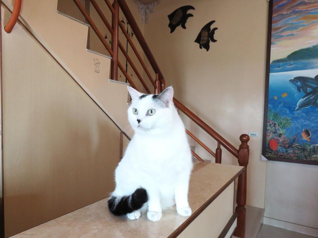 Tou Cheng Whale Watching Homestay Toucheng Exteriör bild